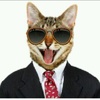 Profile Picture of DavidCopperman (@@davidcopperman) on Tiktok