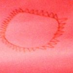 Profile Picture of Nicholas Picillo (@nax_is_in_the_house) on Instagram