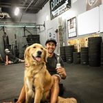 Profile Picture of Andrew (@andrew_larsen_jr) on Instagram