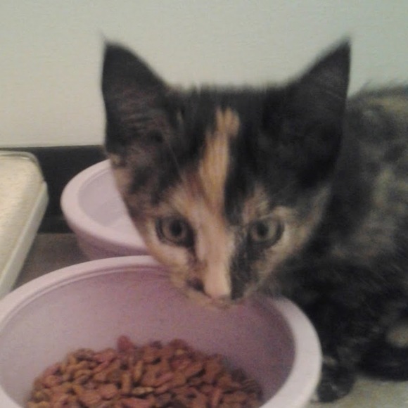 Elizabeth Hennager - Poshmark Profile Picture of Elizabeth Hennager (@lizhennager) on Poshmark