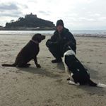 Profile Picture of Alison Carlisle (@trevali1) on Instagram