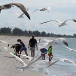 Profile Picture of Bryan Howell (@bryan.howell.33046) on Instagram