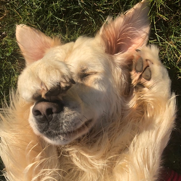 Profile Picture of Elli Coisman (@ejcoisy) on Poshmark