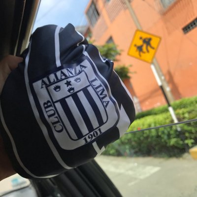 Profile Picture of Alonso Silva (@AL_Lase) on Twitter
