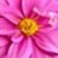 Profile Picture of Vera Polyakova (@vera-polyakova-1) on Quora