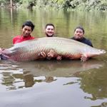 Profile Picture of Corey Silas (@corey_slayin_it) on Instagram