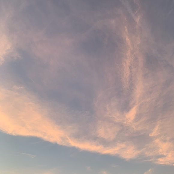 Profile Picture of Ben Schulte (@catdaddy40) on Poshmark