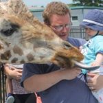 Profile Picture of Steve Lefebvre (@steve.lefebvre.969) on Instagram