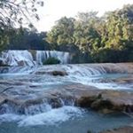 Profile Picture of Maria Pivaral (@maria.pivaral) on Instagram