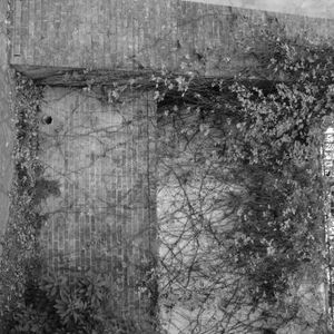 Profile Picture of Dalia Thomas (@205980000) on Myspace