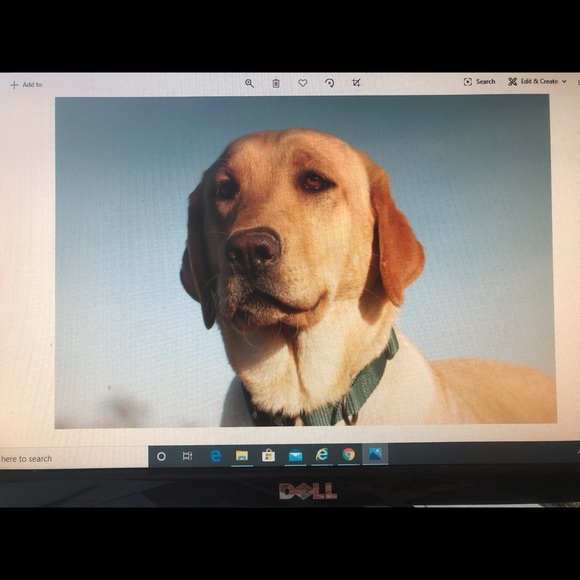 Profile Picture of Douglas Whitten (@dwhitten152) on Poshmark