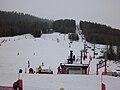 Profile Picture of Montalberton Wikipedia
