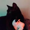 Profile Picture of Stormy Bob Holley (@@stormy123_) on Tiktok