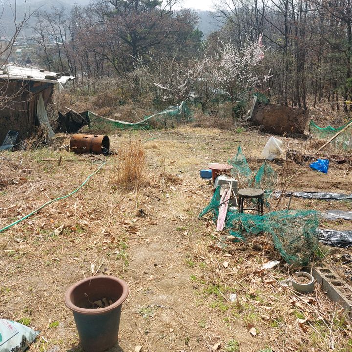 텃밭 - Tiktok Profile Picture of 텃밭 (@leesangjin360) on Tiktok