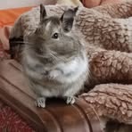 Rita Kudļa - Facebook Profile Picture of Rita Kudļa (@Rita-Kudļa) on Facebook