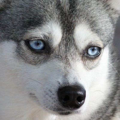 Profile Picture of Barry McFarland (@Spillguy2007) on Twitter