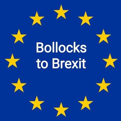 Profile Photo of BtoB  🇪🇺 🇬🇧 🇪🇺 #Rejoin EU #FBPE (@silverwolf2012) on Twitter