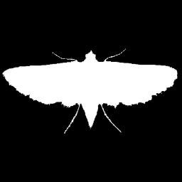 Profile Picture of Greg Spring (@MothRap) on Twitter