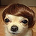 Omar Arredondo - Flickr Profile Picture of Omar Arredondo (@autumn parade) on Flickr