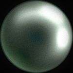 Profile Picture of Jacob Peña (@jacobdanielpena) on Instagram