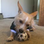 Profile Picture of Alex Mortensen (@songimort) on Instagram