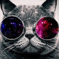 Profile Picture of Ilan Sulimanov (@ilan-sulimanov) on Quora