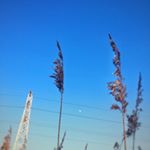 Profile Picture of William Raybould (@raybouldwilliam) on Instagram