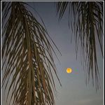 Profile Picture of Paul stebelton (@iphotobypaul) on Instagram