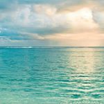 Profile Picture of Andrew Jasman (@andrewjasman) on Instagram