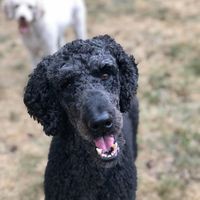 Profile Picture of Kate Mccormack (@kate-mccormack-35) on Quora