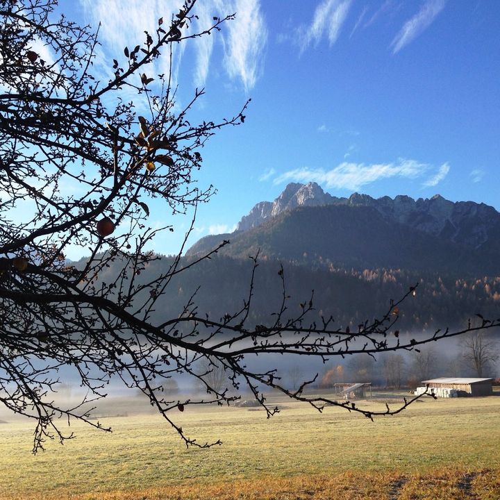 Profile Picture of Emilio Allen (@emilioallen) on Tiktok