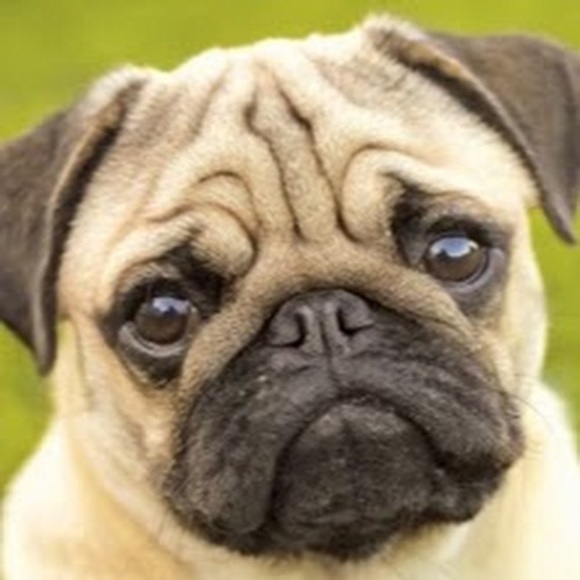 Evan Warrington - Poshmark Profile Picture of Evan Warrington (@1203110) on Poshmark