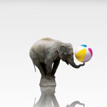 Profile Picture of joshuamerchant (@joshuamerchant) on Instagram