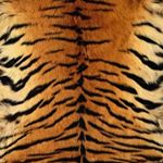 Profile Picture of 𝘼𝙇𝘽𝘼 𝙍𝘼𝙈𝙄𝙍𝙀𝙕 (@albaramirzz) on Instagram