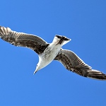 Profile Picture of Balades  & Randos (@j j d) on Flickr