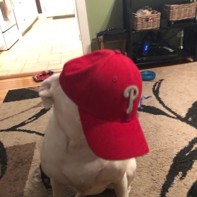 Profile Picture of David Altimari (@dave900074) on Twitter