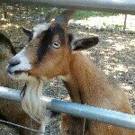 Profile Picture of thomasditullio (@thomasditullio) on Instagram