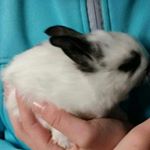 Profile Picture of Lisa,Rappold (@lisa.ra2603) on Instagram