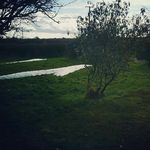 Profile Picture of Lorna Marjorie O'Neill Keenan (@sheepstown_studio_) on Instagram