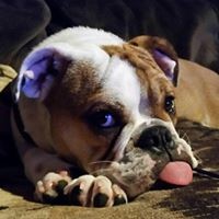 Profile Picture of Justine Wojcik Scott Spadea (@justine-wojcik-scott-spadea) on Quora
