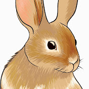 Profile Picture of Noel Johanson (@noeljohanson2395) on Youtube