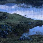 Profile Picture of raymondeverhart896 (@raymondeverhart896) on Instagram