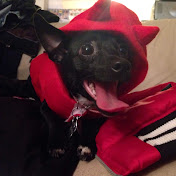 Profile Picture of Luis Ambrosio (@SquishyLuis758) on Youtube