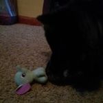 Profile Picture of Mariah (@mariah_caflisch) on Instagram