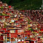 Profile Picture of Daniel P Mehaffey (@danielpmehaffey) on Instagram