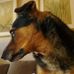 Profile Picture of Jeffery Neise (@Jeffery-Neise) on Facebook