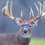 Profile Picture of Jake Hennings (@henningsjake) on Instagram