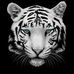Profile Picture of Steve Ghee (@steve.ghee.923) on Facebook