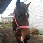 Profile Picture of Алина Брянцева (@briantseva524) on Instagram