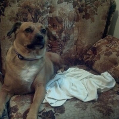 Profile Picture of Carol Schroeder (@605carols) on Twitter